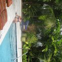 IMG 0408