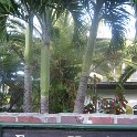 IMG 0413