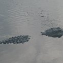 IMG 0463