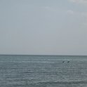 IMG 0474