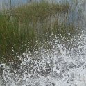 IMG 0503