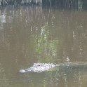 IMG 0514