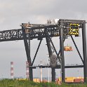 DSC 7803