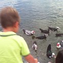 IMG 0318