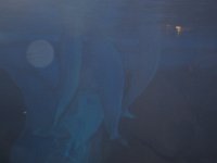 DSC 6710