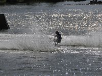 DSC 1933