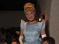 DSC 8334