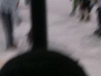 IMG 0518