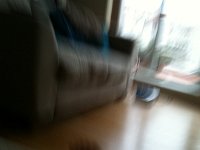 IMG 0471