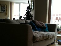 IMG 0472