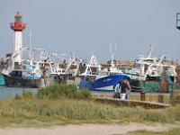 DSC 0008