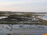 DSC 0031