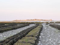 DSC 0036