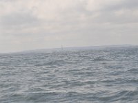 DSC 9936