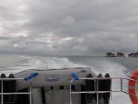 DSC 9884