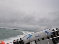 DSC 9902