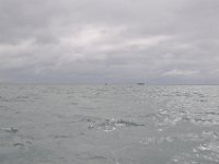 DSC 9908