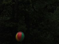 DSC 0299