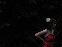 DSC 0329