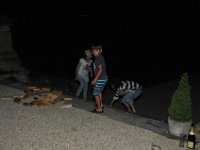 DSC 0441