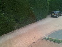 IMG 0559