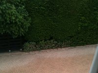 IMG 0565