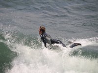 DSC 9371