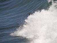 DSC 9448