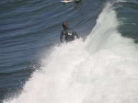 DSC 9454