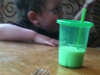 IMG 0544