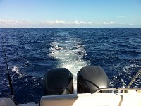 IMG 0712