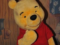 DSC 8556