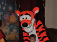DSC 8558