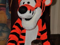 DSC 8559