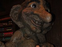 DSC 8570