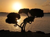 Sunsets