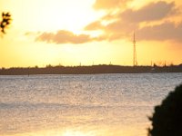 DSC 1155