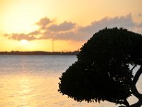 DSC 1157