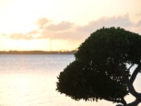DSC 1163