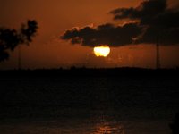 DSC 1167