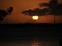 DSC 1168