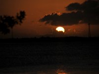 DSC 1177