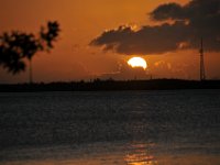 DSC 1179