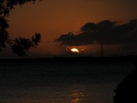 DSC 1185