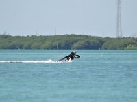 DSC 1297