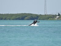 DSC 1299