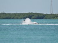DSC 1301