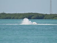 DSC 1302