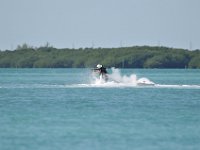 DSC 1308