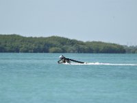 DSC 1314